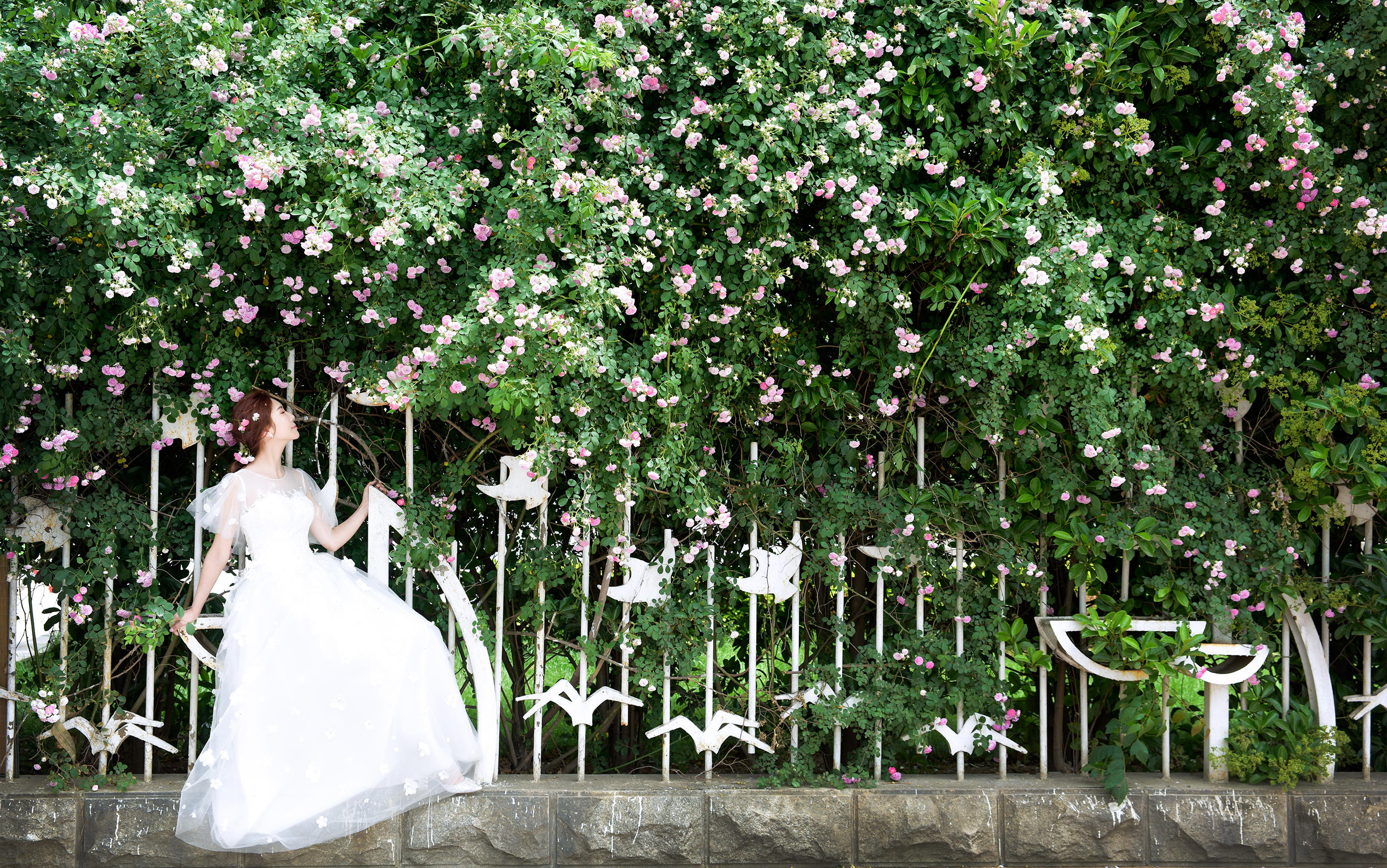 【私人定制】婚纱照系列 5服装5造型