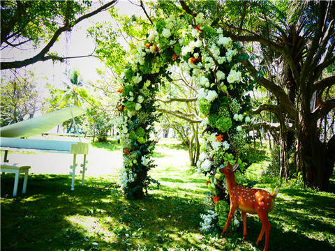 天涯海角“绿野仙踪”婚礼套餐