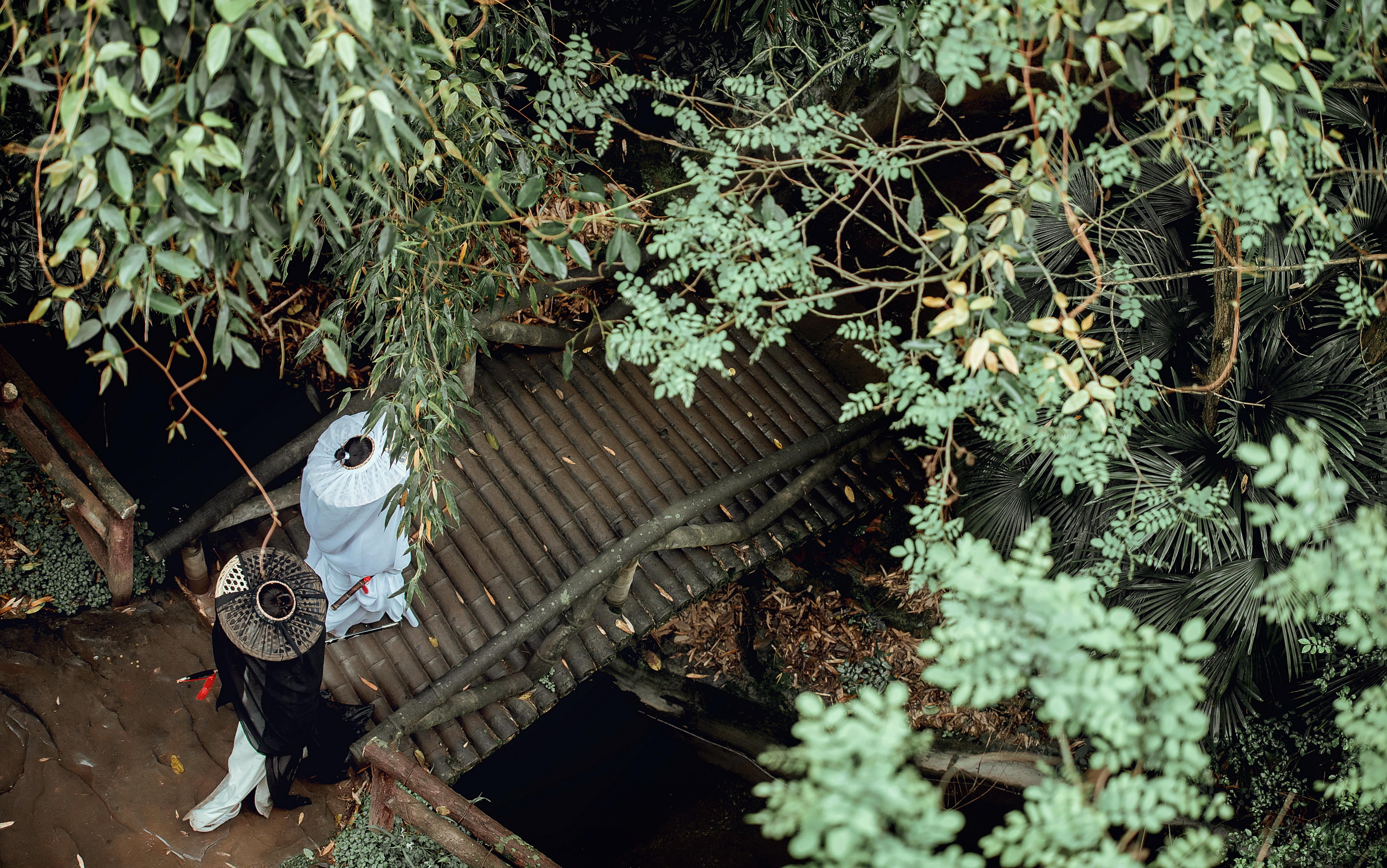  【你若安好，白頭偕老】