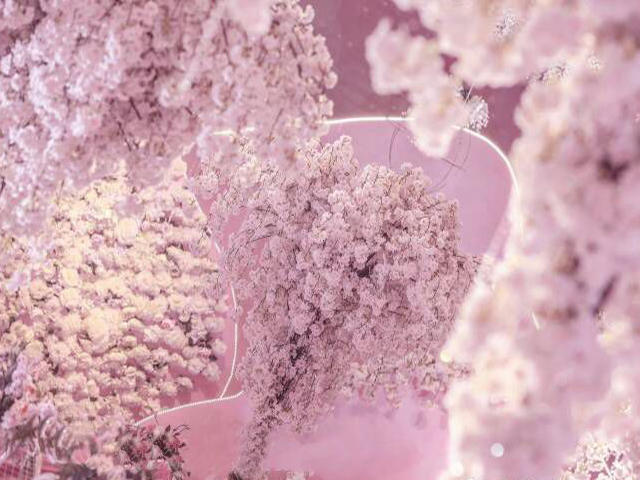 艾诺——“似水流年”主题婚礼