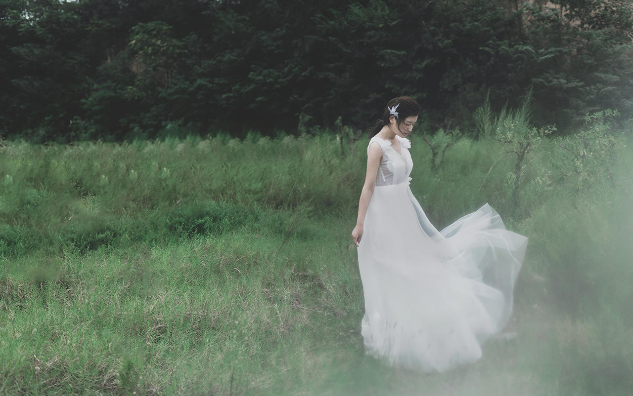 简汐中国风[鸳凤和鸣]新风格