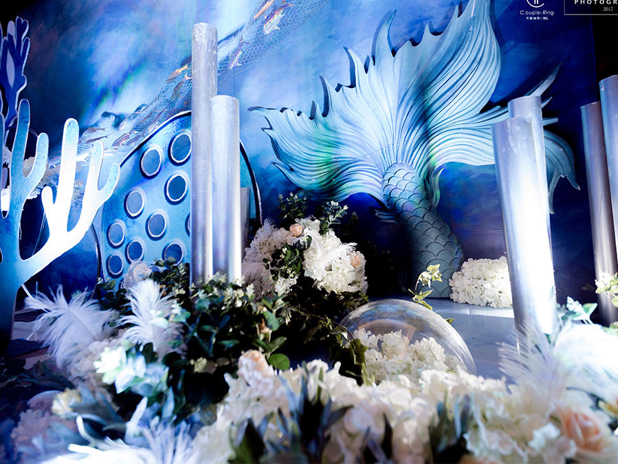 【爆款套餐】蓝色深海的秘密 海岛鱼说