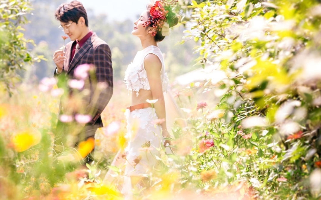 【限时特惠】+个性定制+包干价