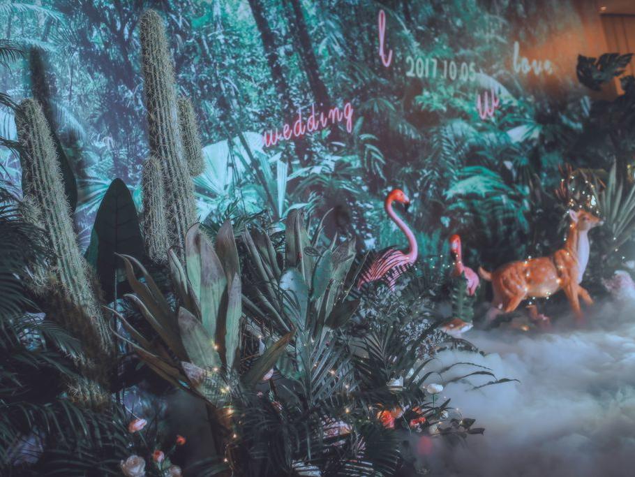 【索菲亚婚庆】奇幻森林 梦幻系列