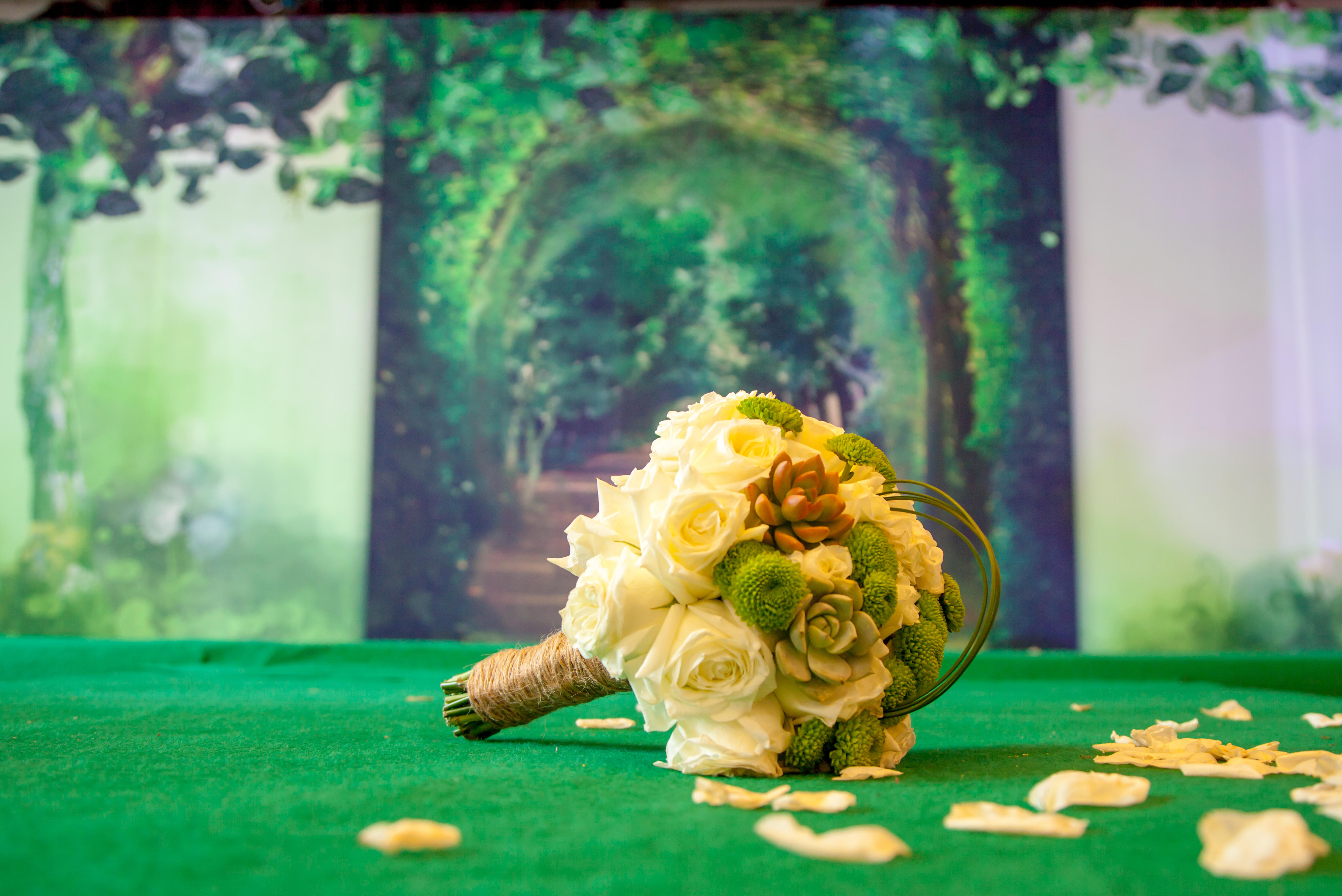 【以沫Wedding】森 · 绿
