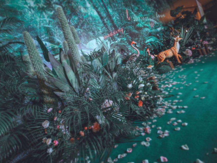 【索菲亚婚庆】奇幻森林 梦幻系列