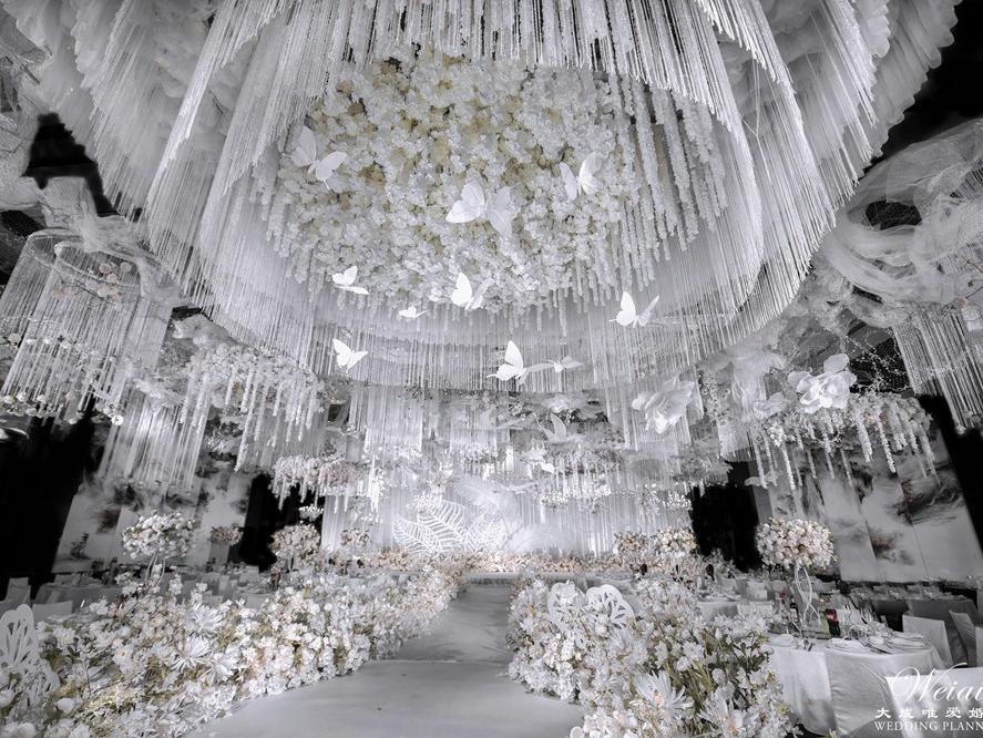 【超人气奢华唯美】异度八分白