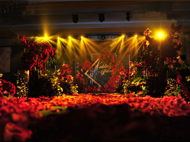 红黑系- 花园里的你（包含四大）