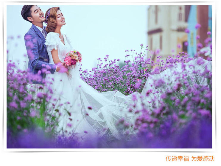 普羅旺斯花海莊園