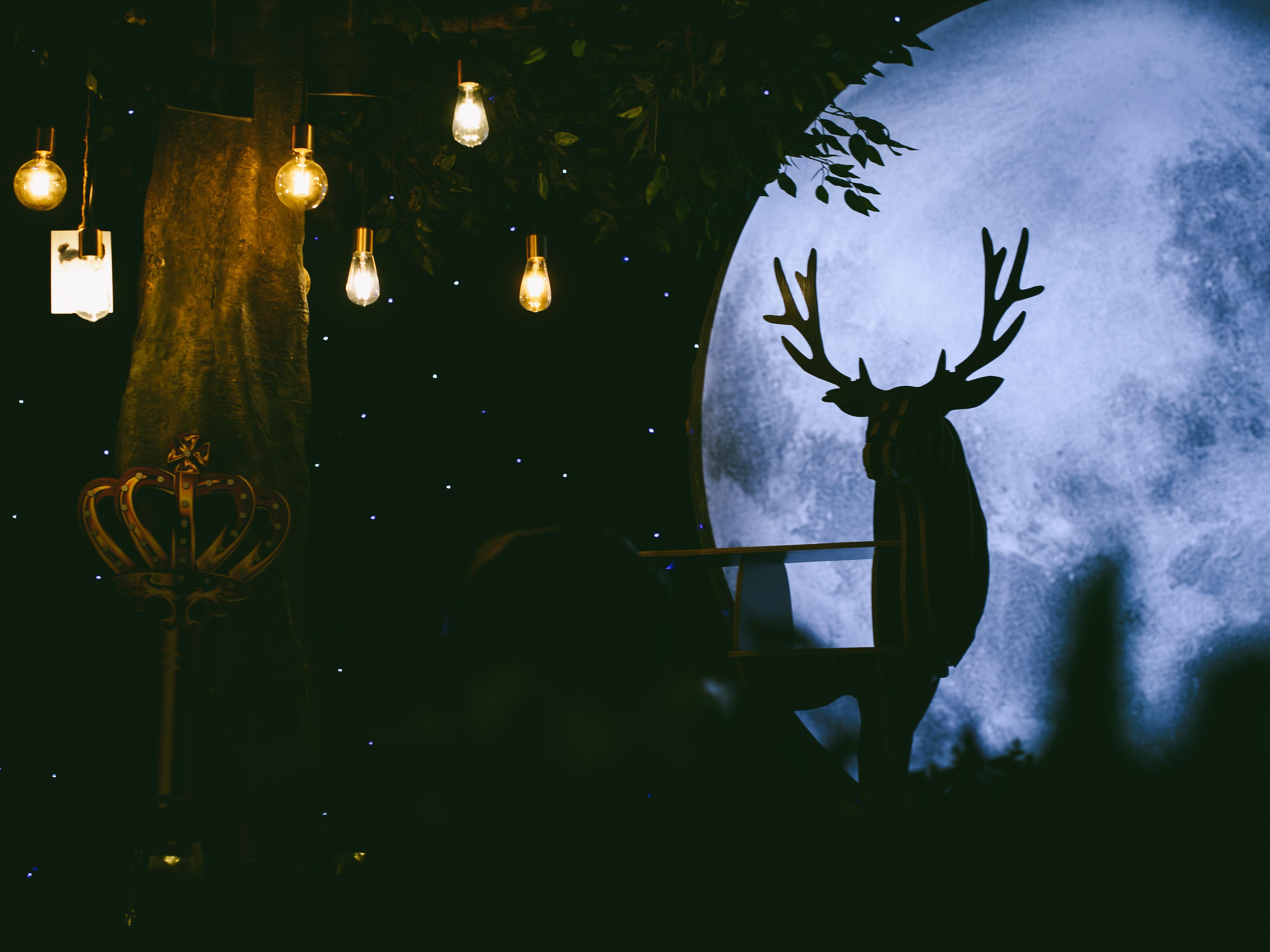 森林花园【小镇风雅 · 榕林以楠】