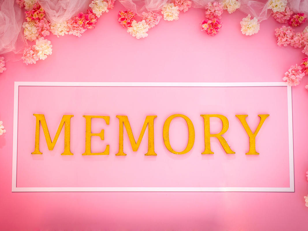 【赛拉薇粉色婚礼布置】Memory