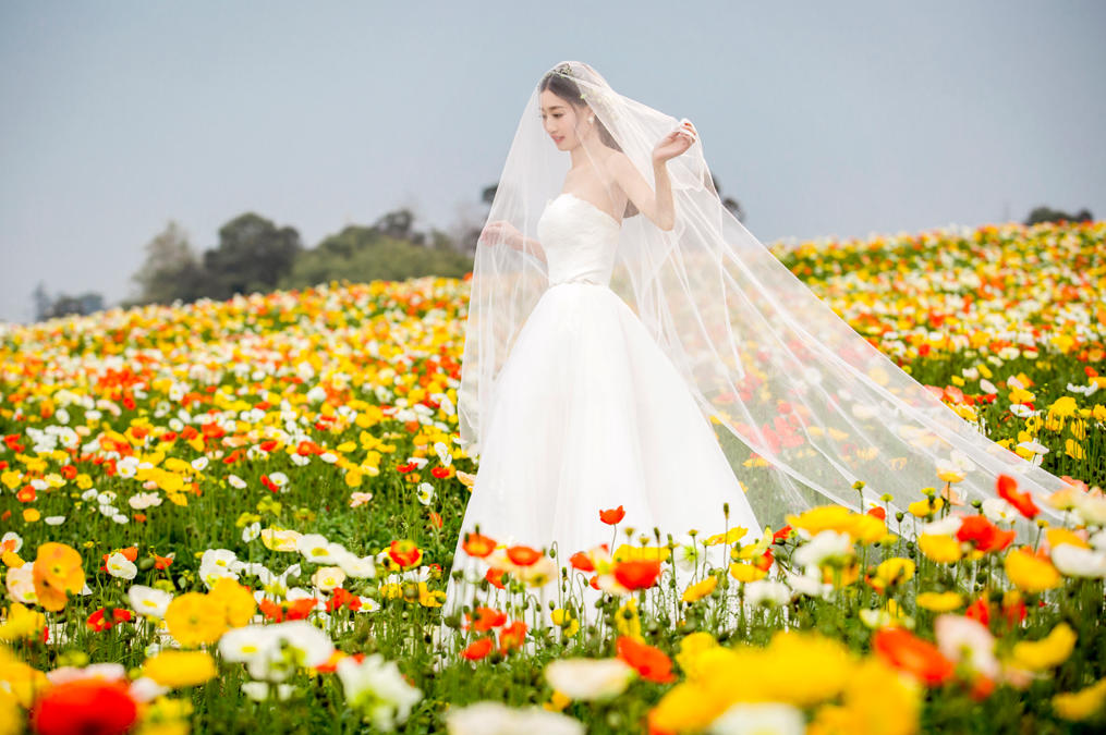 韩式外景婚纱照-香薰山谷客片