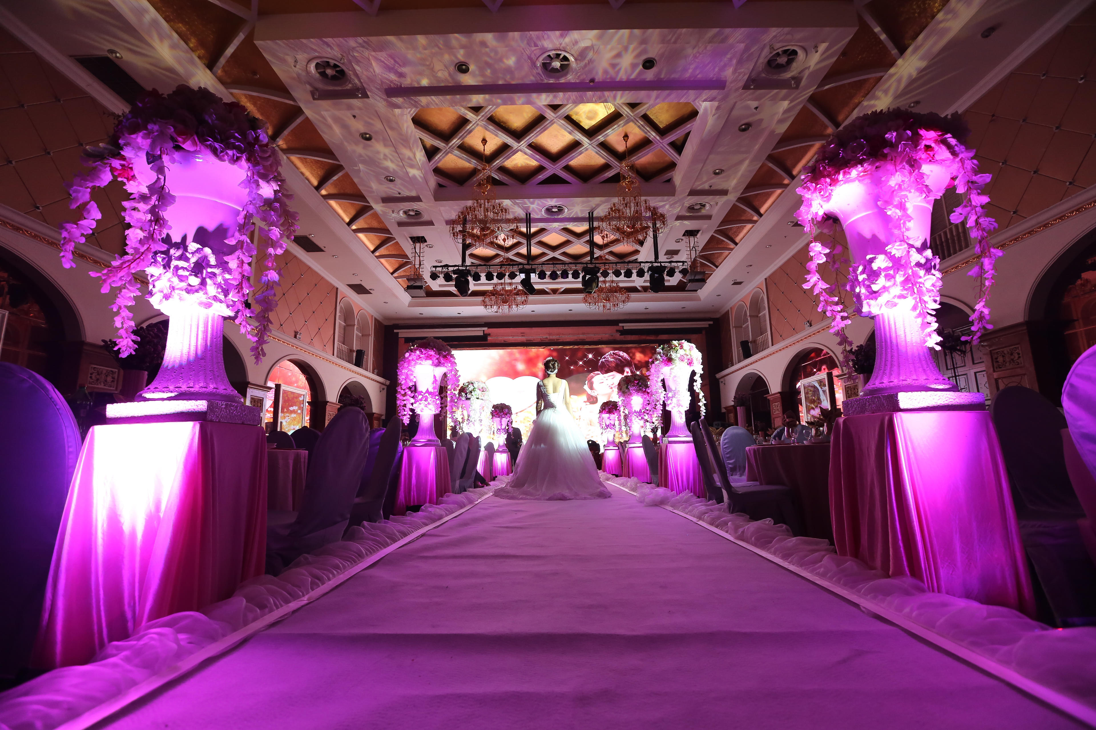 【龙凤作品】威尼斯酒店 裸粉的柔情与优美并存