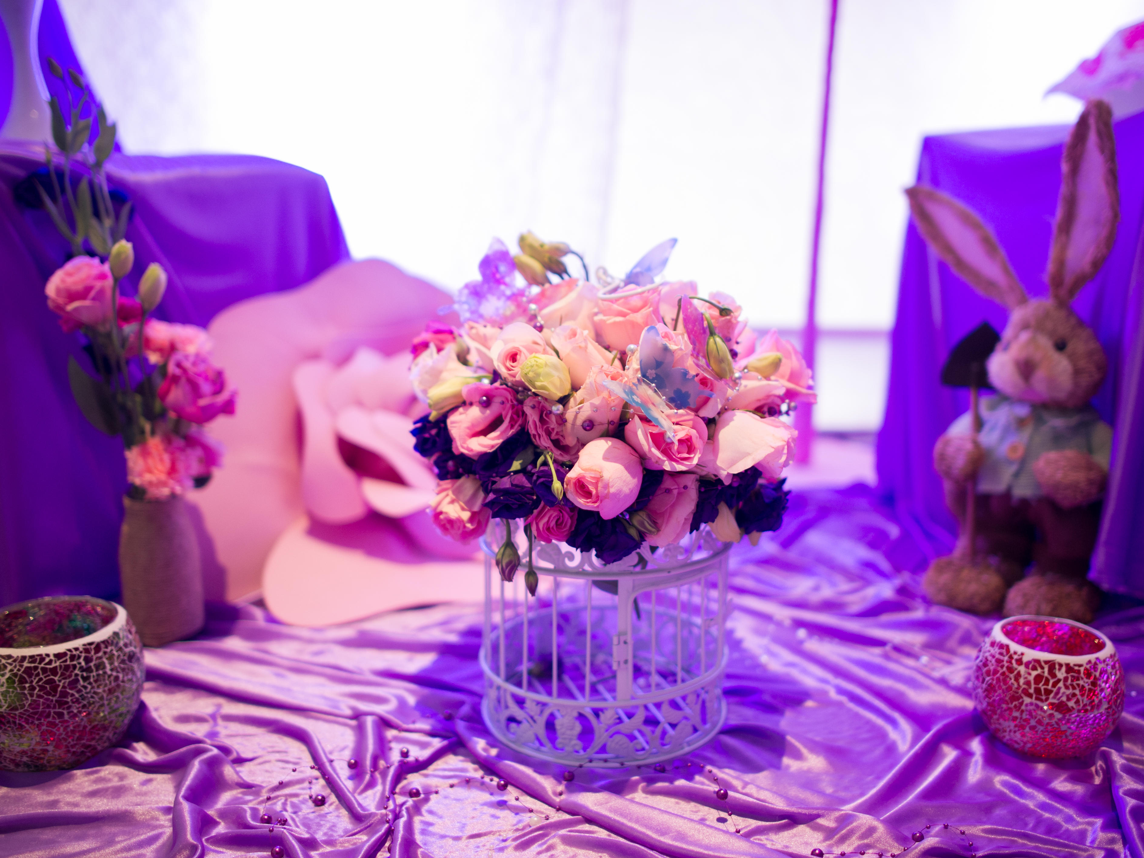 梦幻花园（Z&Z）