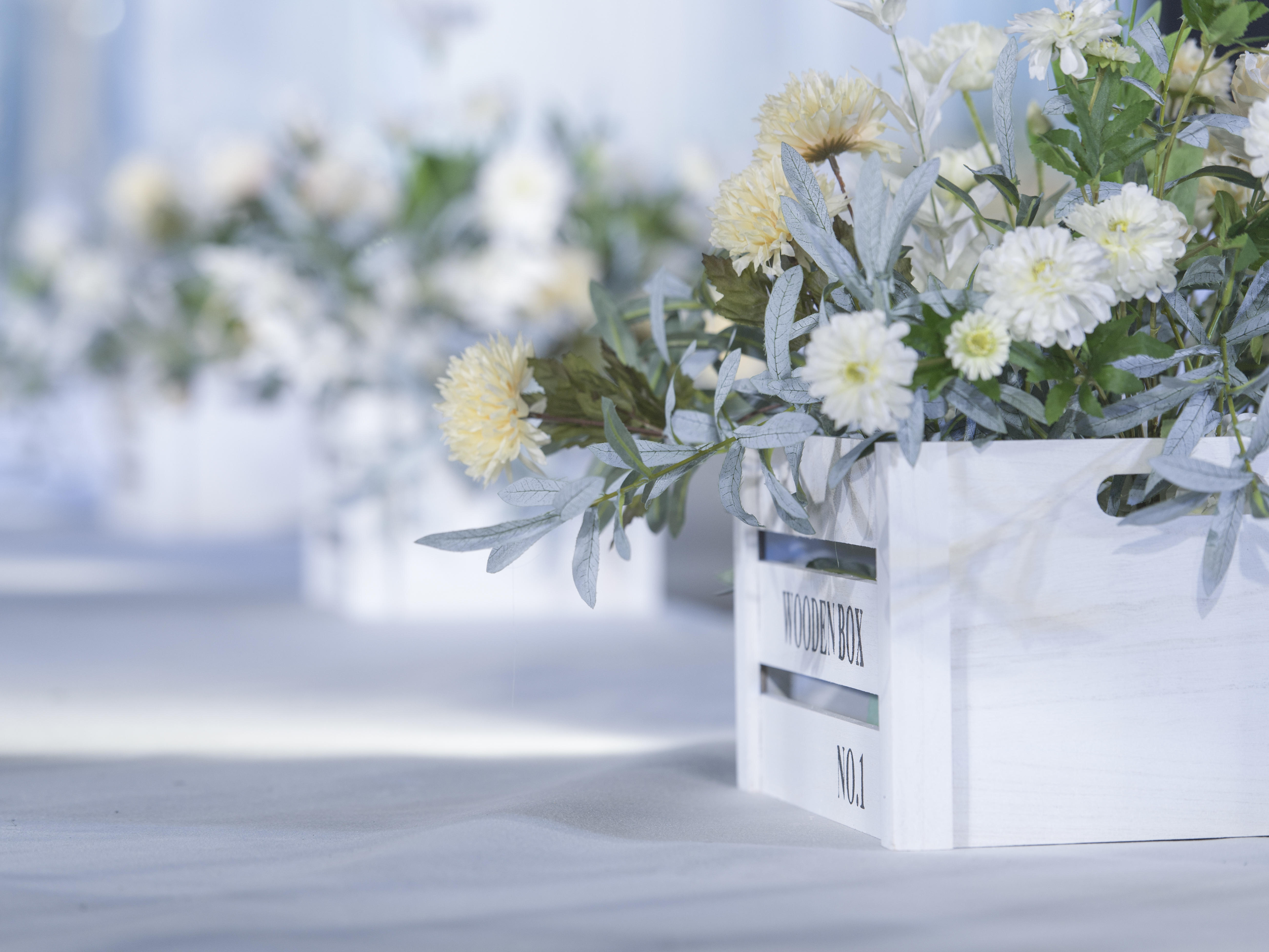 【晨曦】清新简约风 可室内可户外