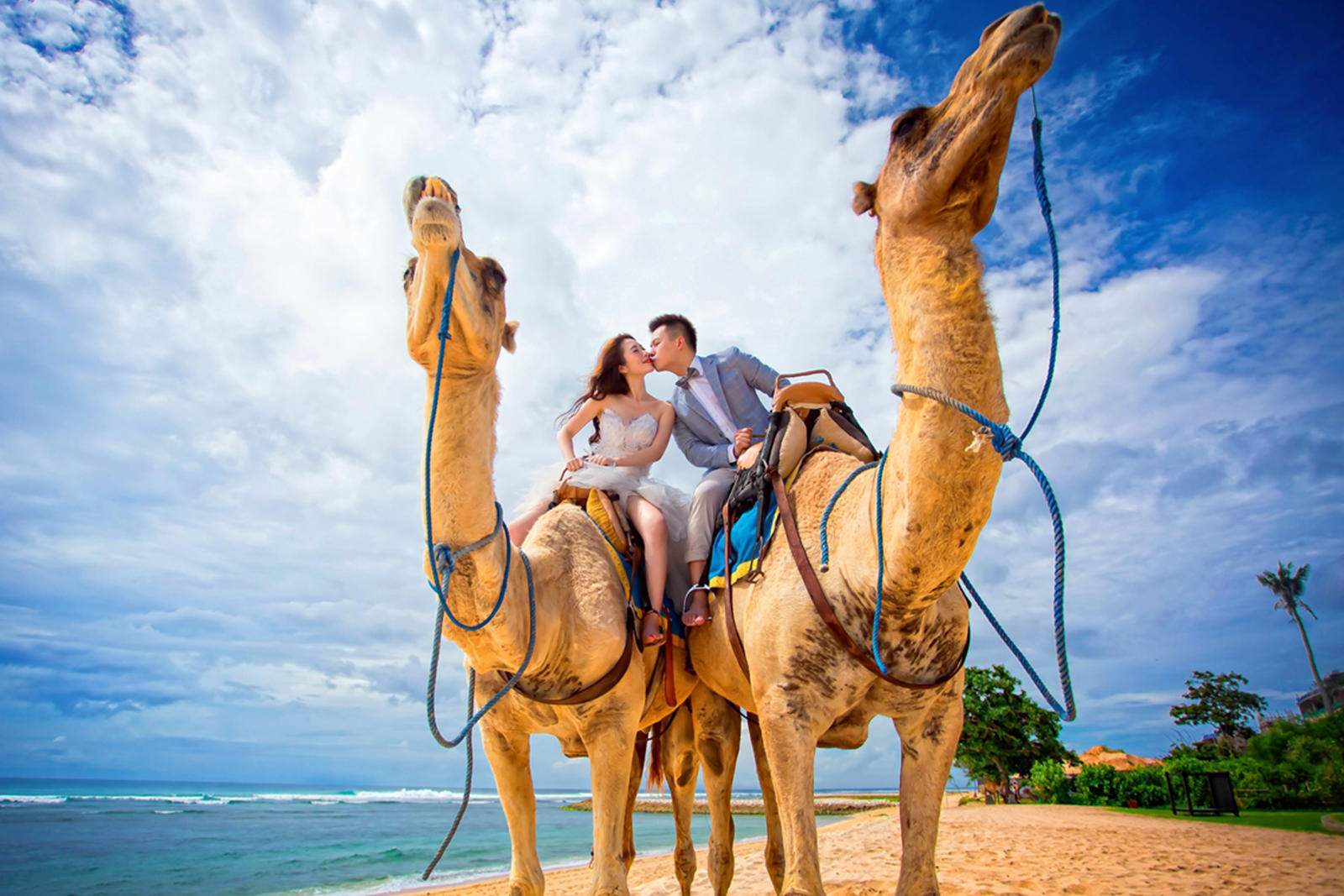 時(shí)光之旅-《新月》套系  一周年贈(zèng)全家?；蛟袐D照