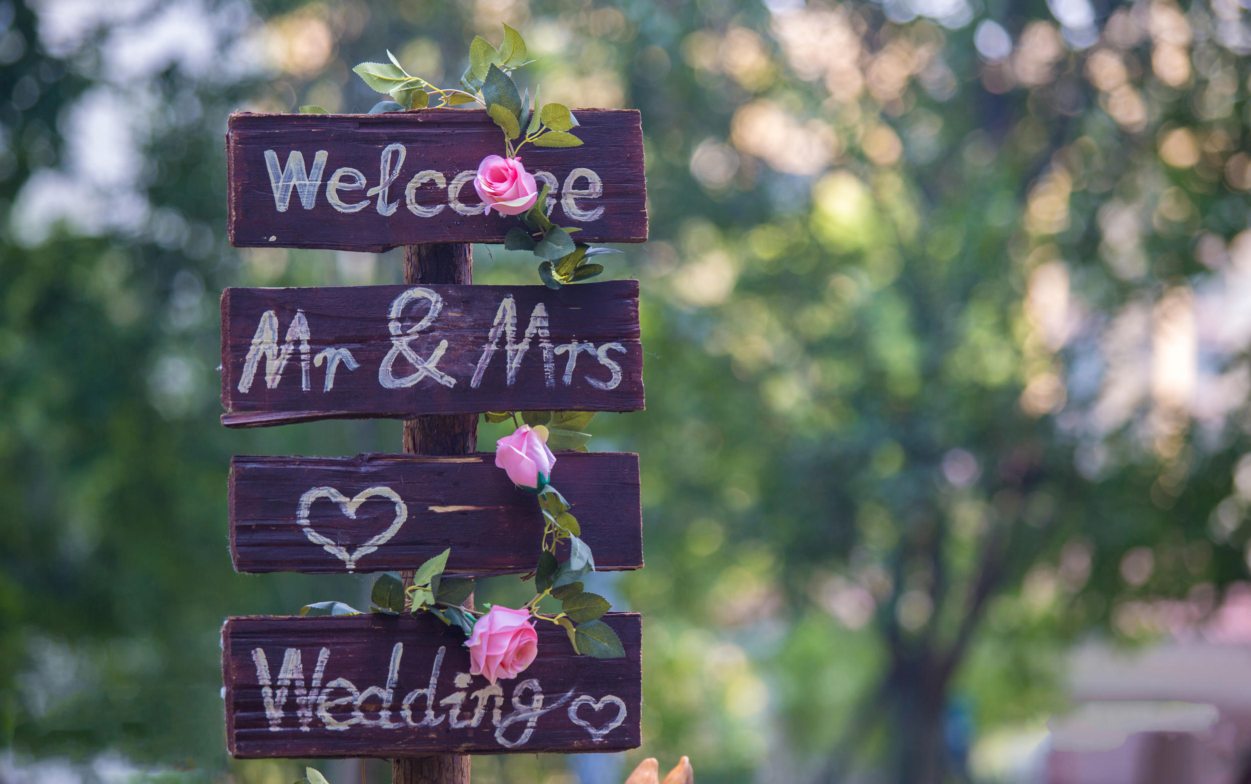 【爱与希望】Love & Wish（户外草坪）