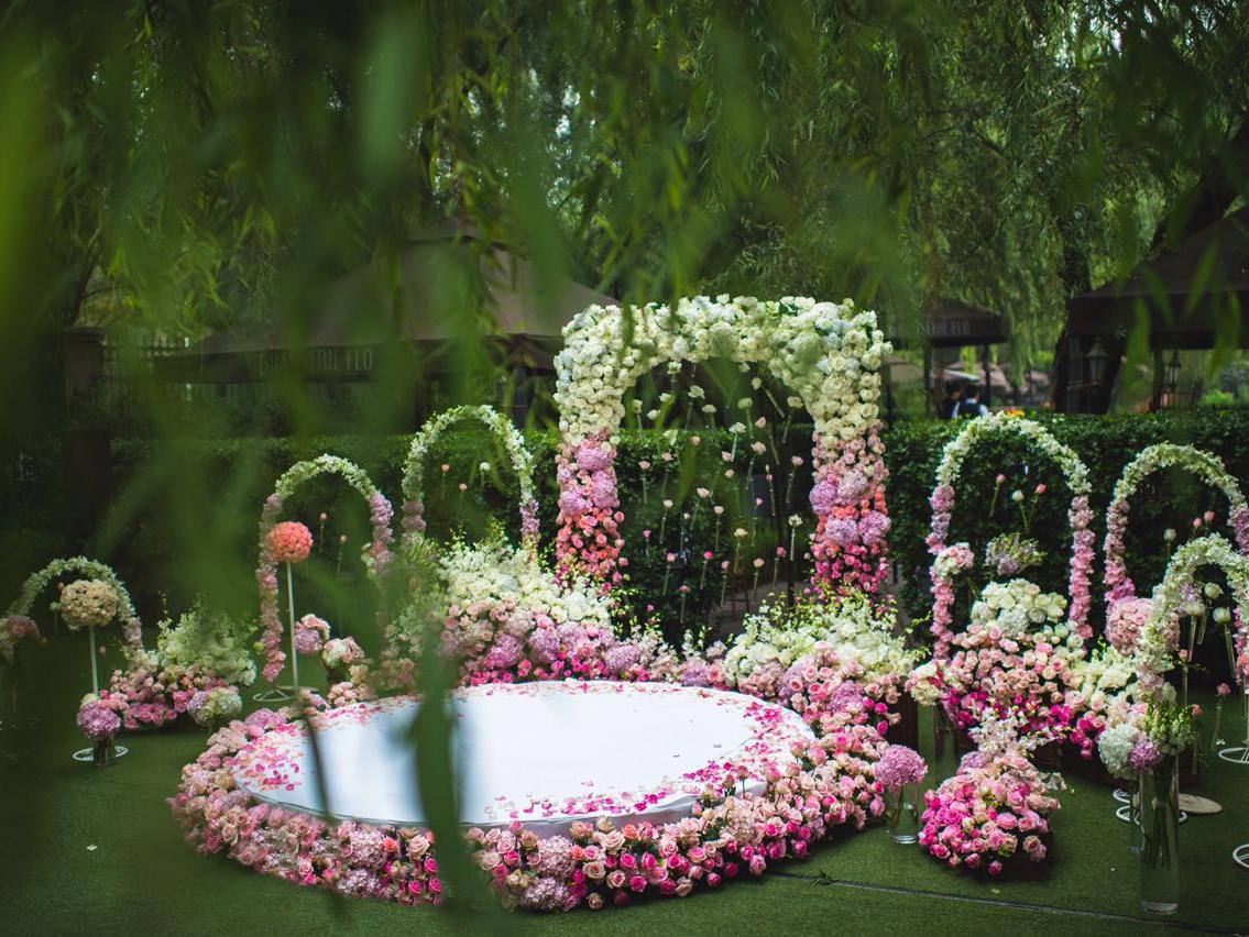 LEPAD乐派福楼渐变色《卡农》