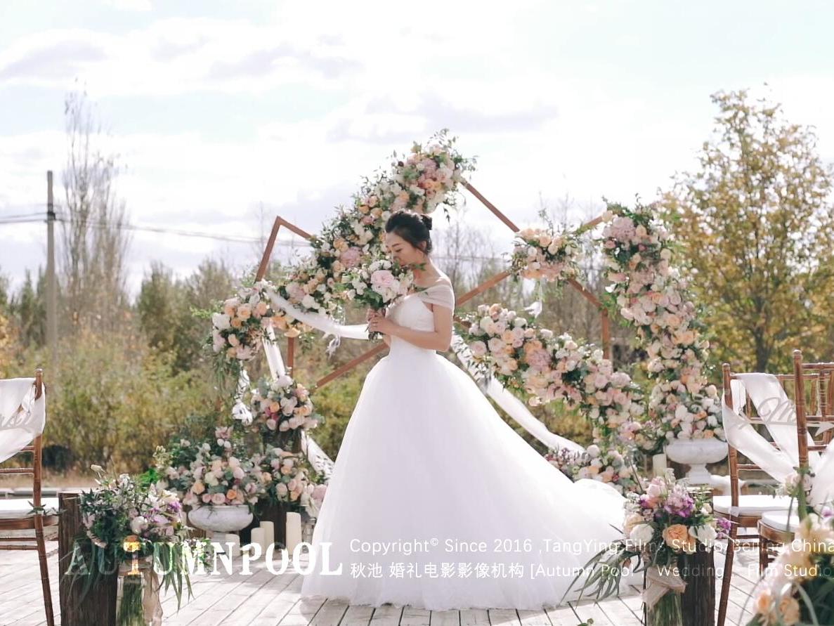 总监级双机婚礼电影   