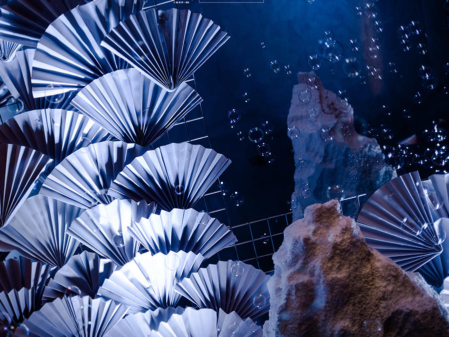 【爆款套餐】蓝色深海的秘密 海岛鱼说