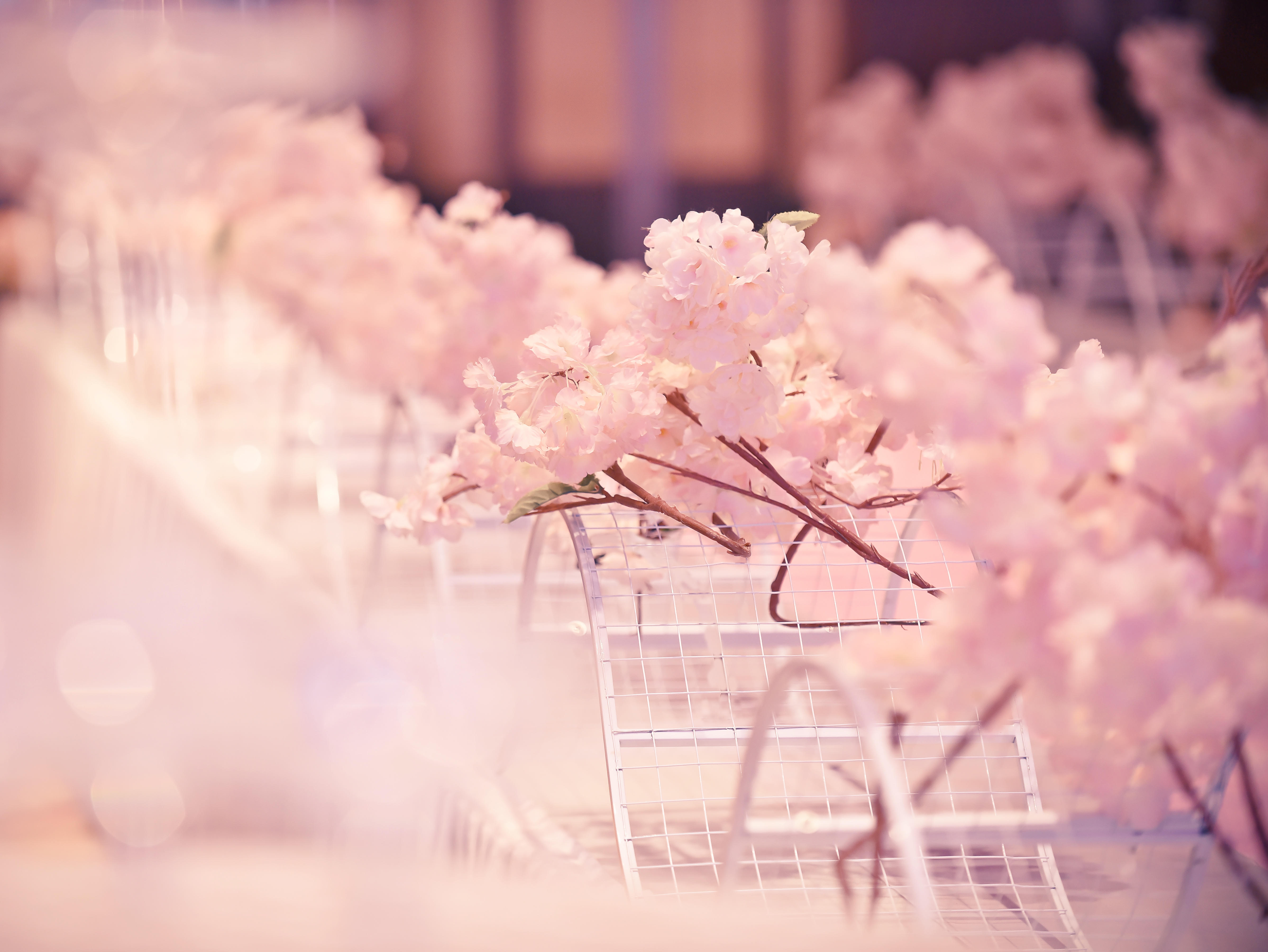 《粉色婚礼》——满足你的粉嫩少女梦