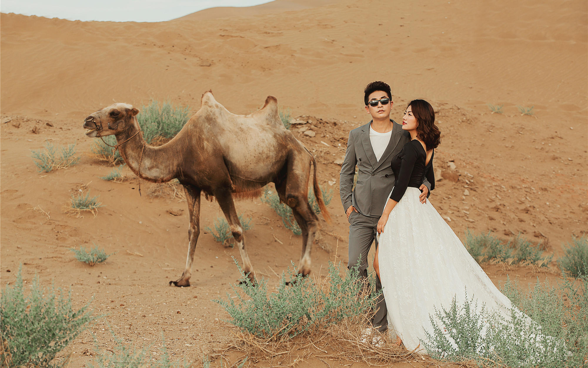 全球旅拍·博樂賽里木湖+伊犁果子溝大橋+圖開沙漠