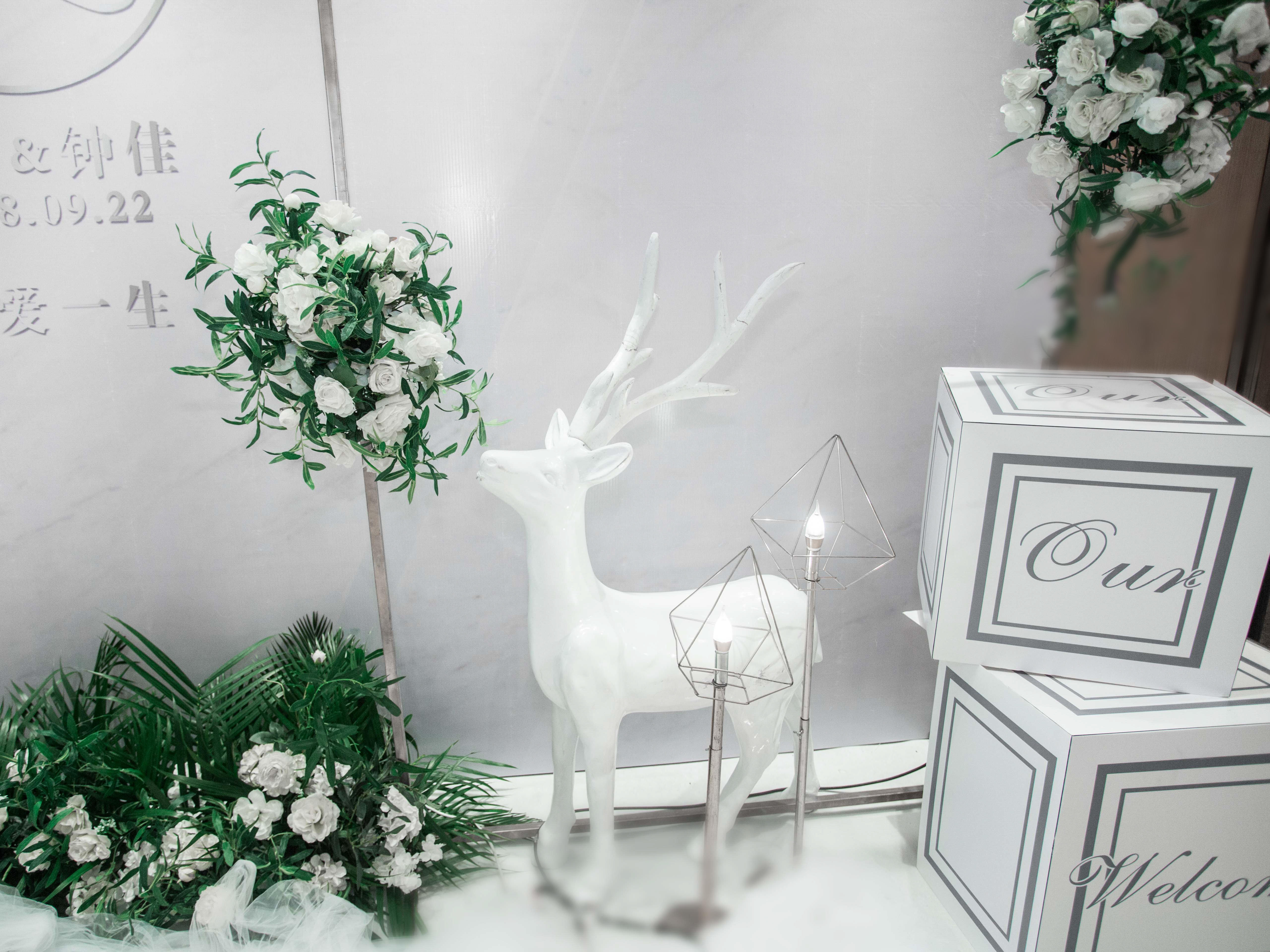 【安小静婚礼定制】给你的爱韩式套餐