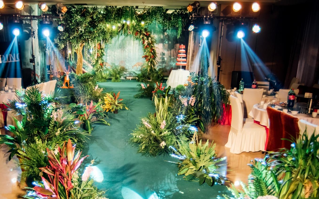 听风来.....满是你的味道《森林秘境》