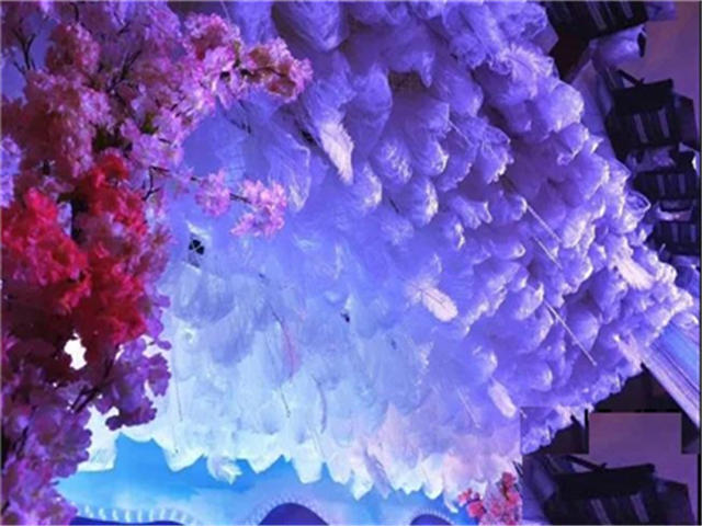 左岸浪漫婚礼  梦幻神话