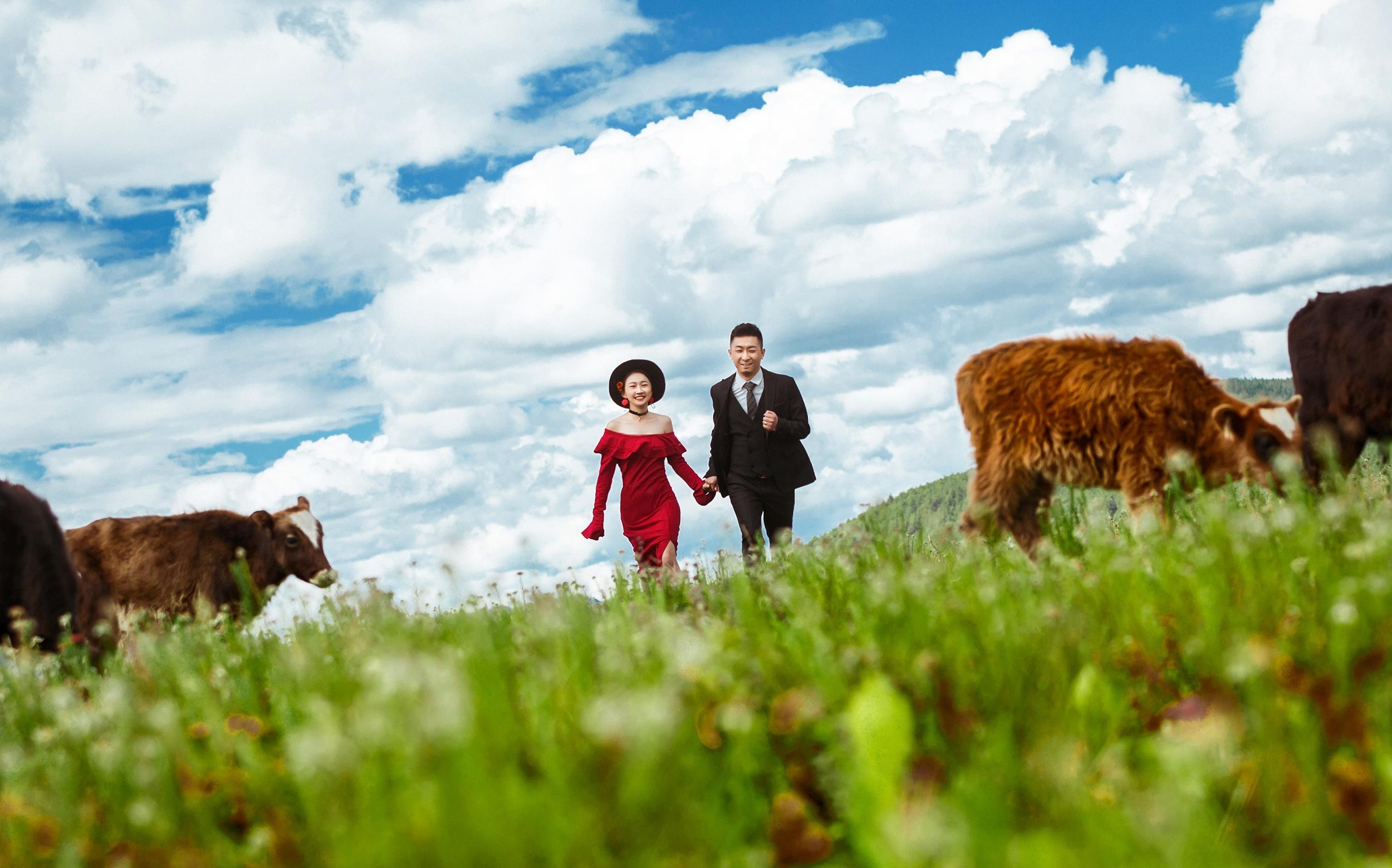 【香格里拉旅拍】香格里拉中國(guó)棉花堡兩天旅拍