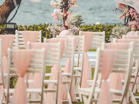 【丽芙】桜の花浪漫粉色户外草坪婚礼