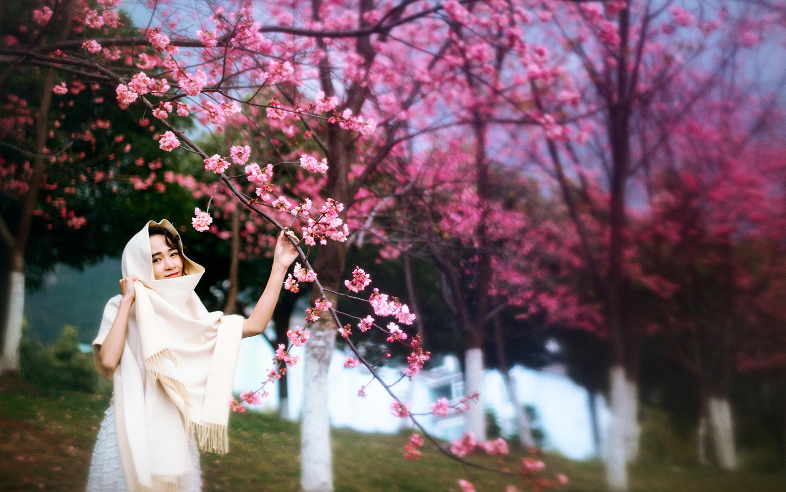 【高端定制】兩晚住宿+夜景+接機(jī)+包郵+微電影