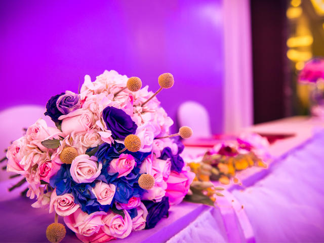 雨发生态园小厨娘—小登科