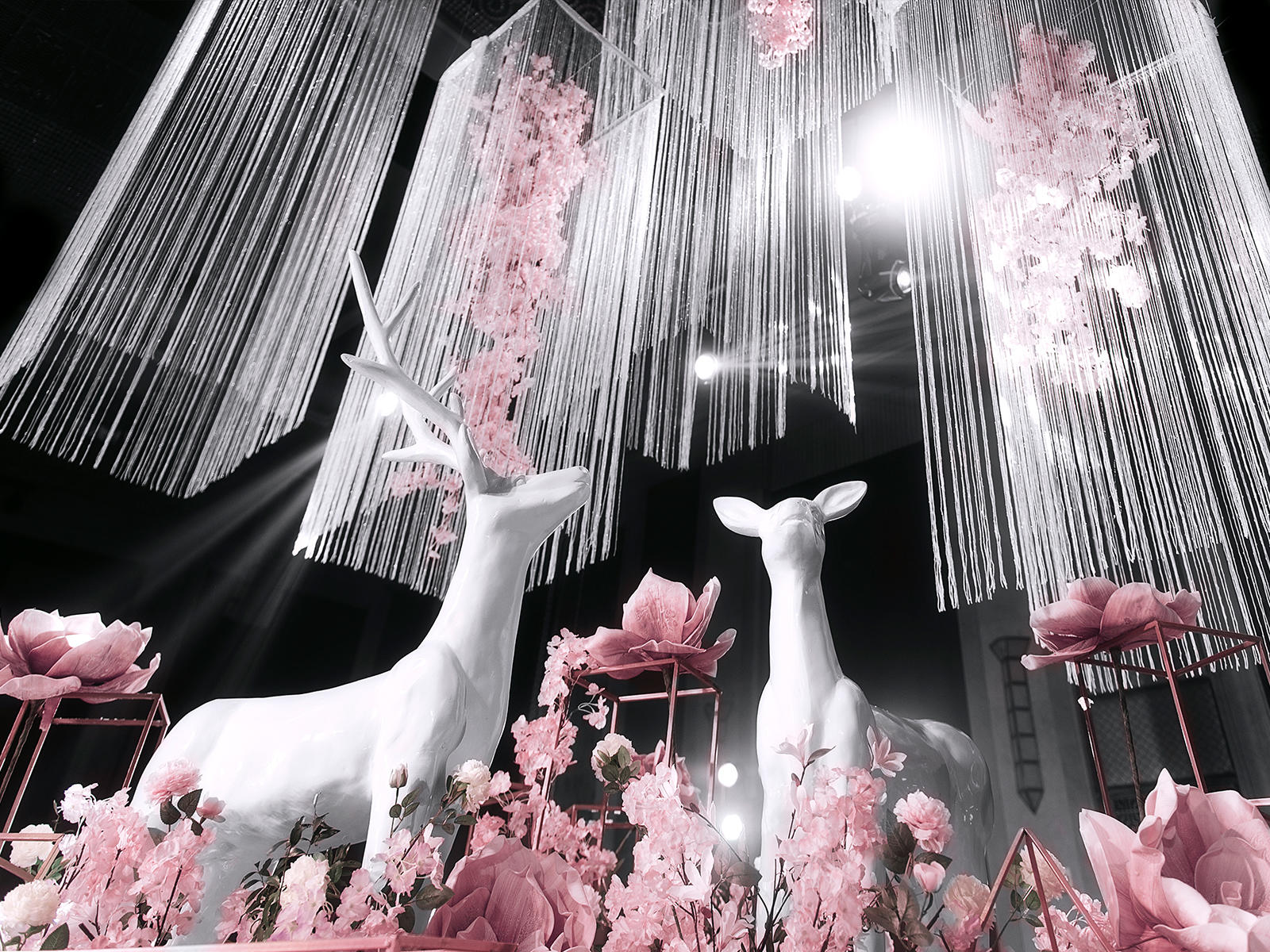 【童话盛宴】 Bloom