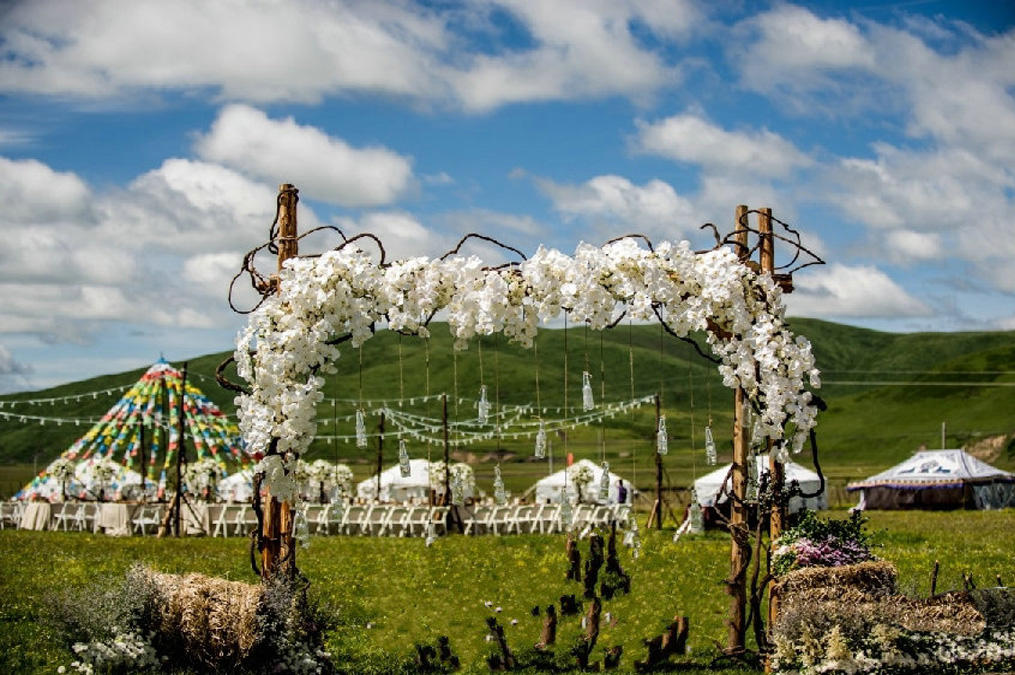 【爱薇塔】草原婚礼