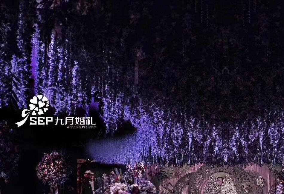 《 The One 》  可梦幻也可神秘的紫外光