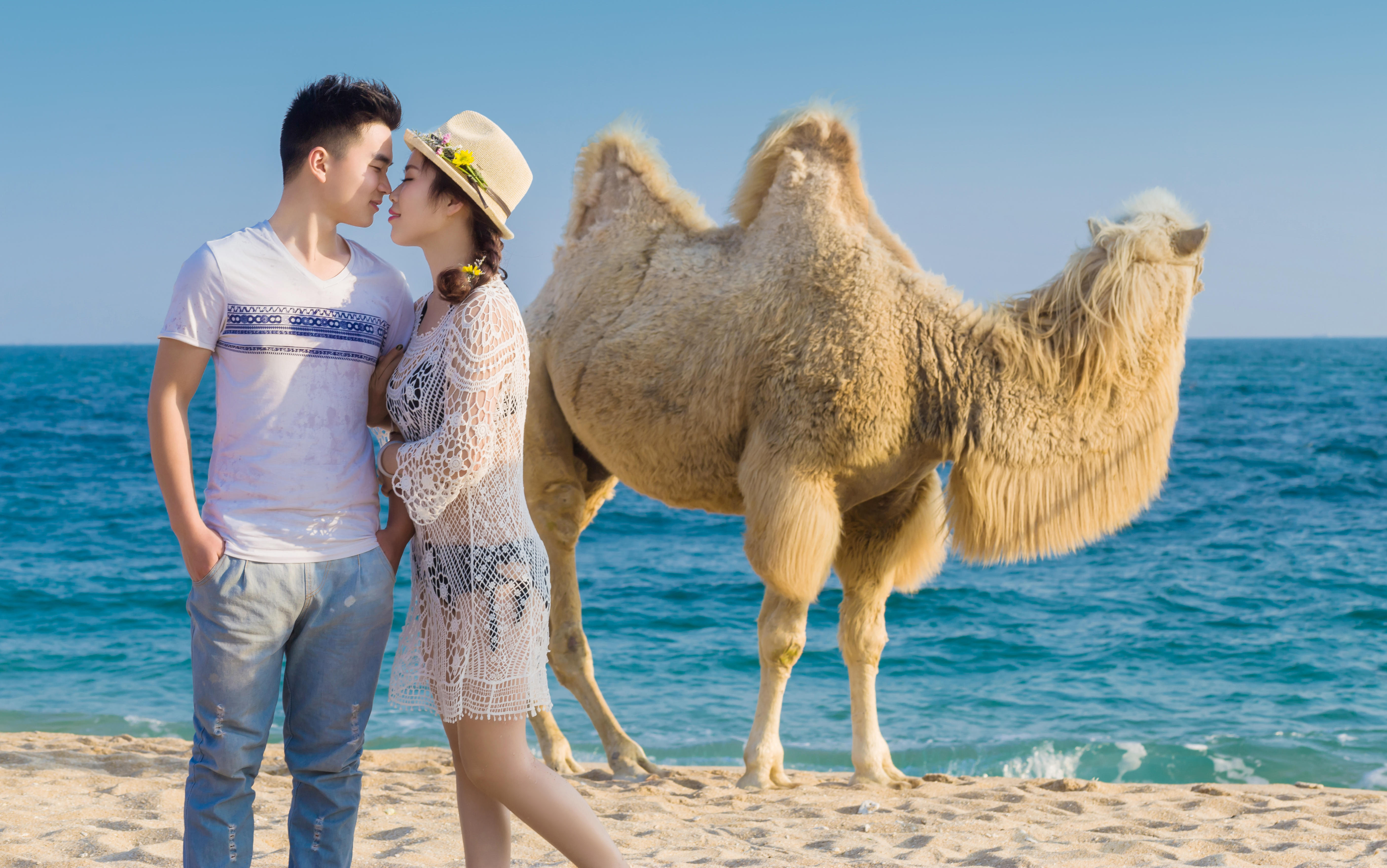 【5A级景区分界洲岛】 直减1500元机票补贴