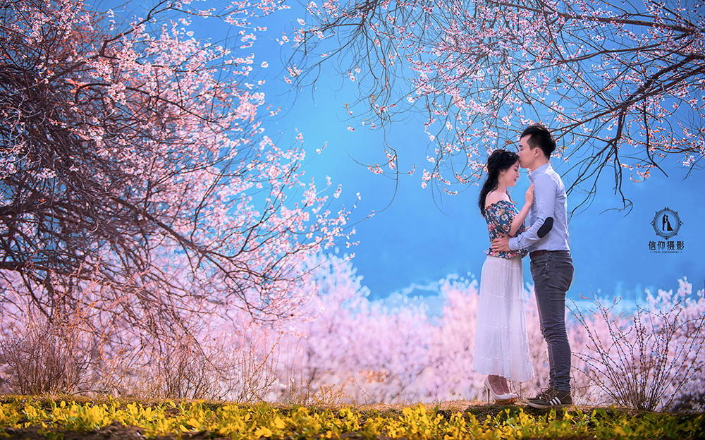 林芝路线3日拍摄=林芝+米林+尼洋河+雅鲁藏布江