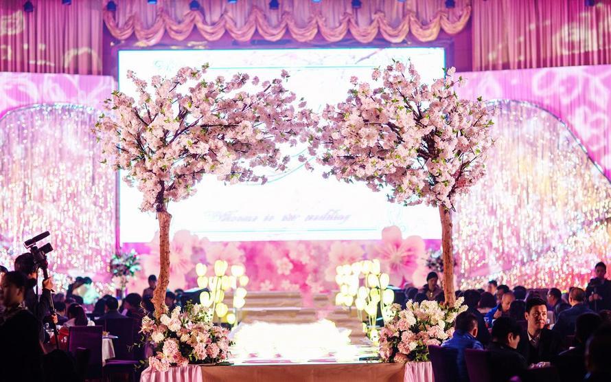贵族婚礼策划-粉色梦幻樱花主题婚礼《樱》
