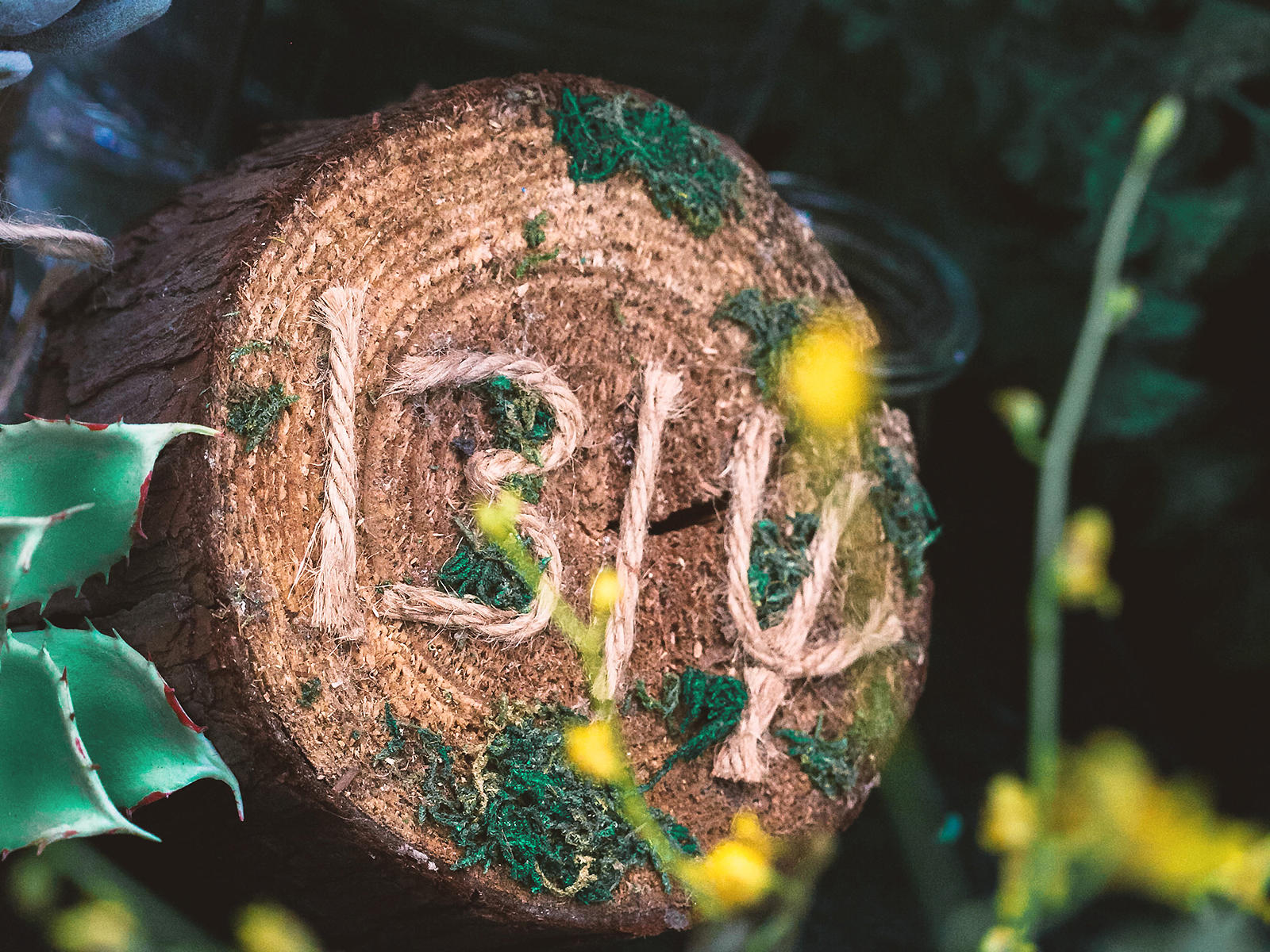 『常州焯燃婚礼』秘境花园清新小森系