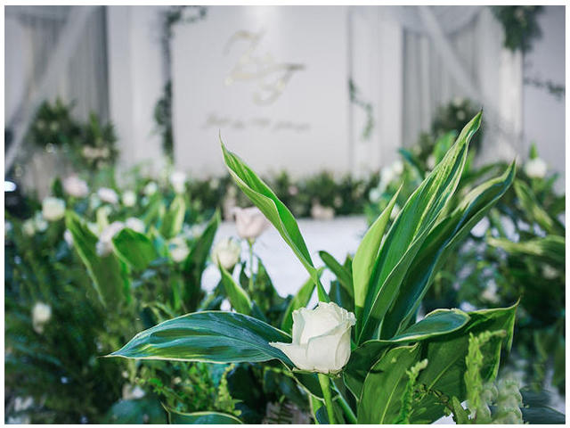 白绿系清新浪漫婚礼（包含四大）