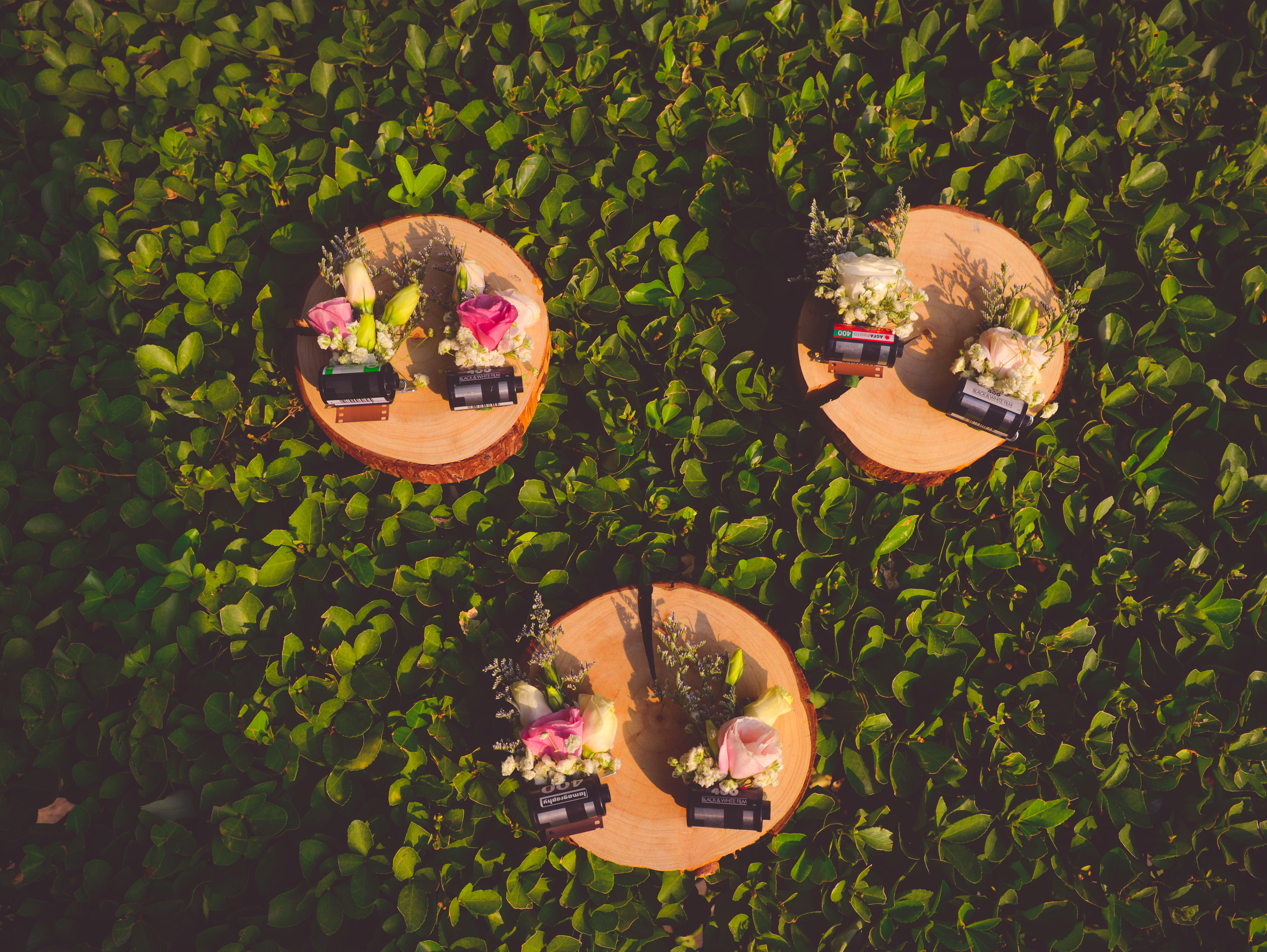 LEPAD乐派 福楼，《玩疯了的晚宴婚礼》