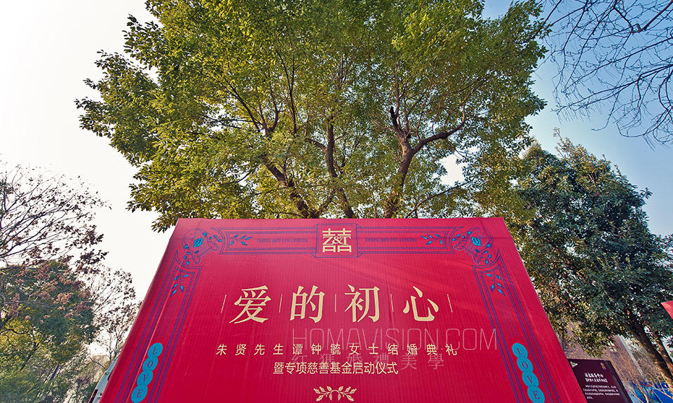 爱的初心