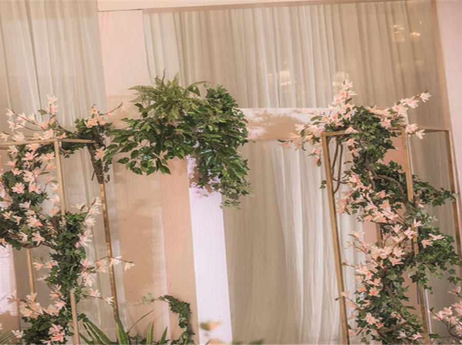 【同心缘婚礼】室内小清新  超值套餐