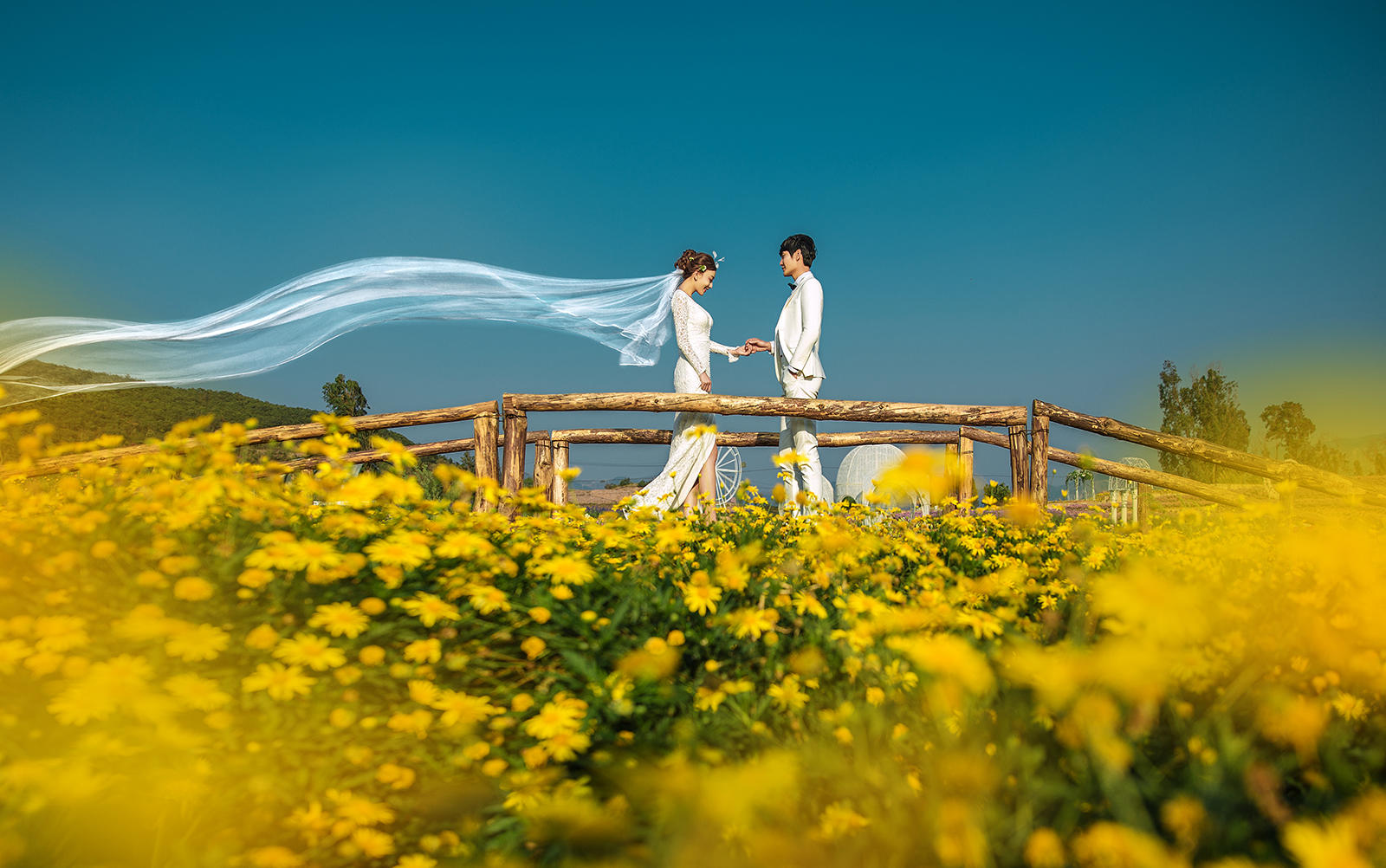 最美结婚登记照 仅需99元