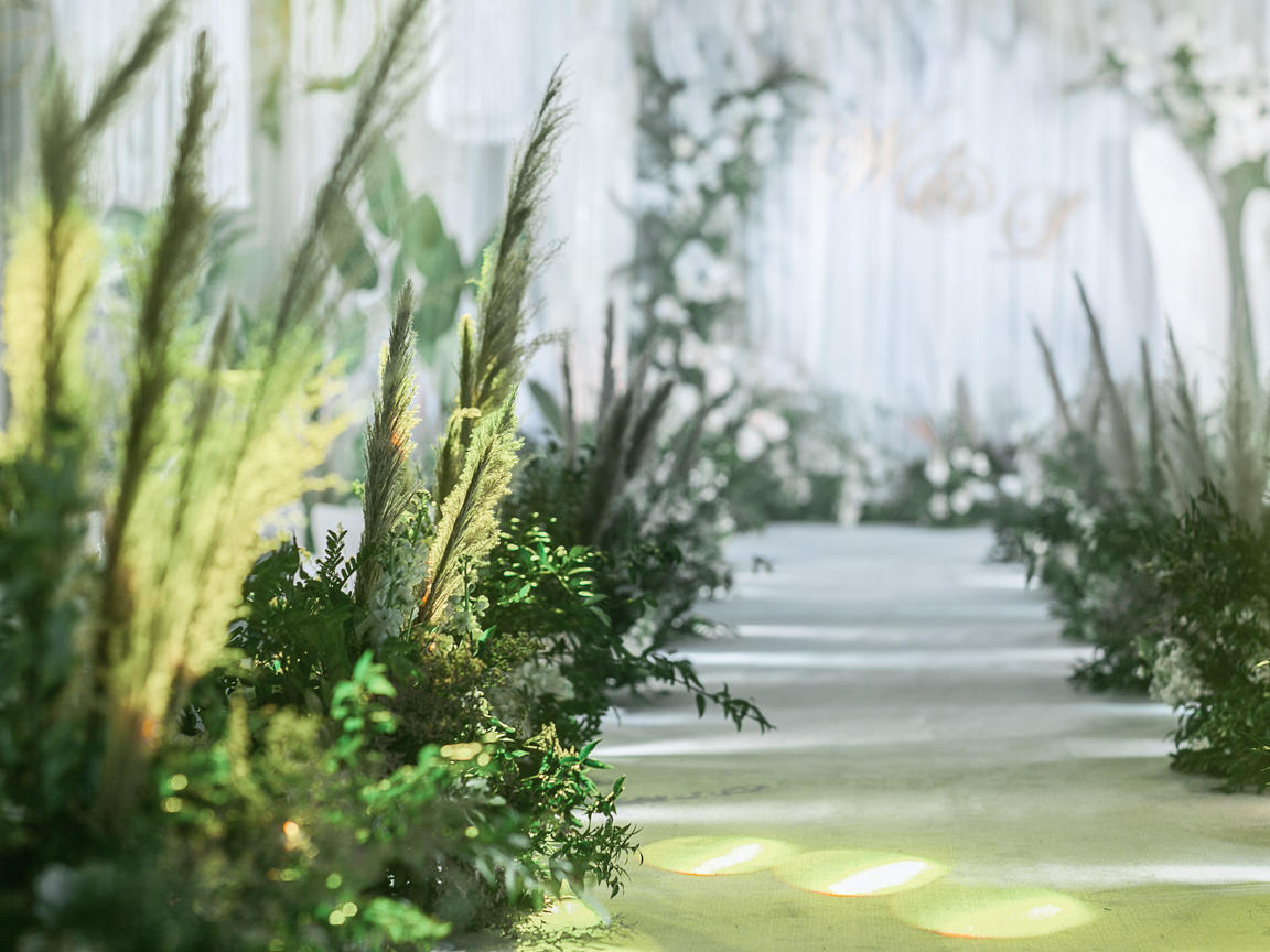 【绿幽深深】2019人气室内森系到店就送全家福