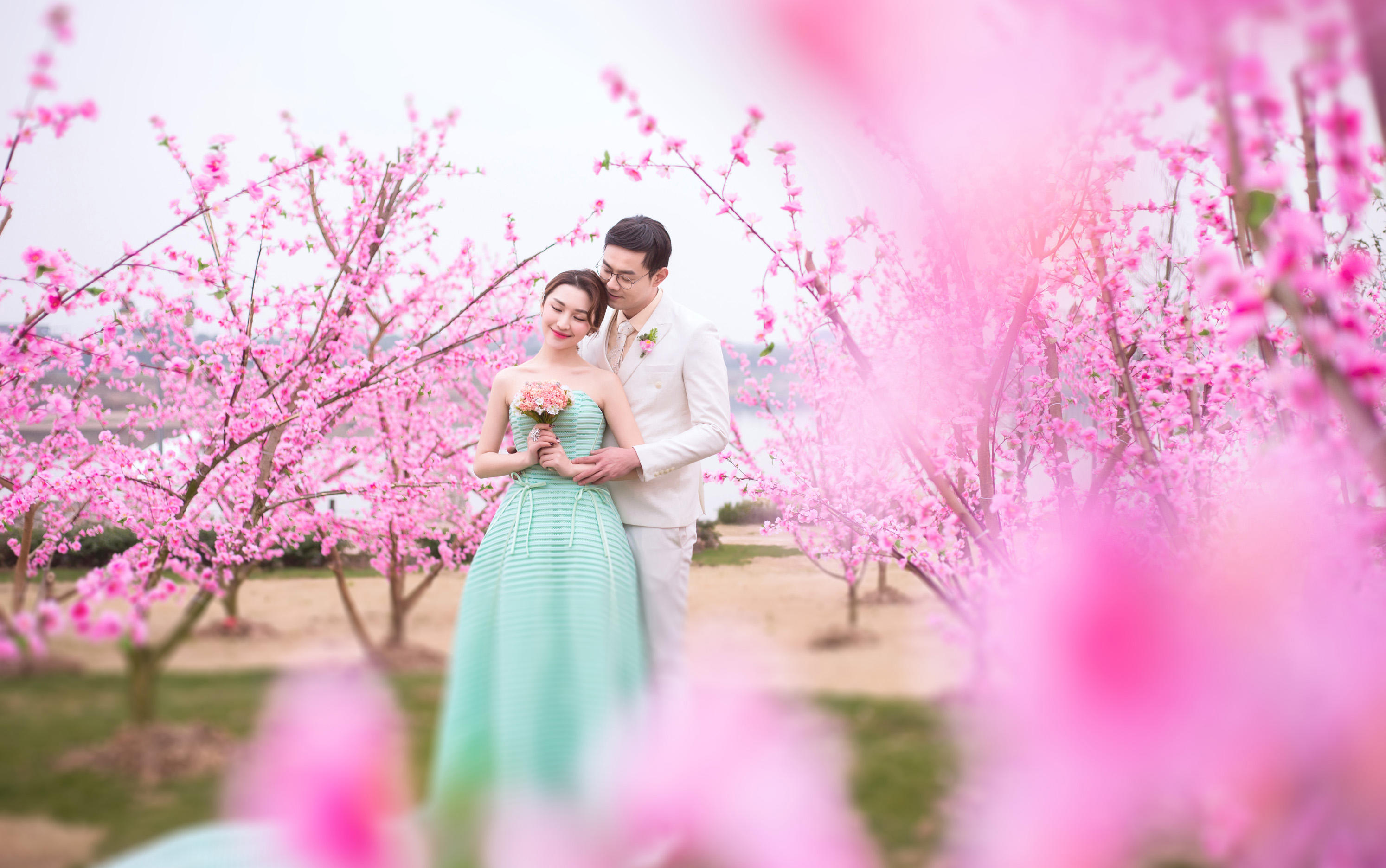 【朵拉】花田山水——昆仑仙花