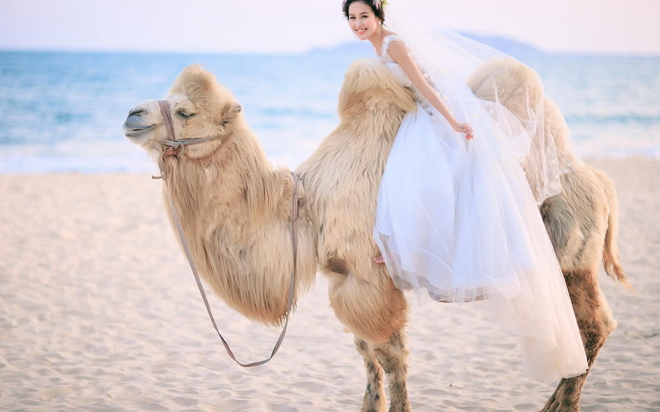 【花期秒杀价】漫山花海+游艇+威尼斯水城