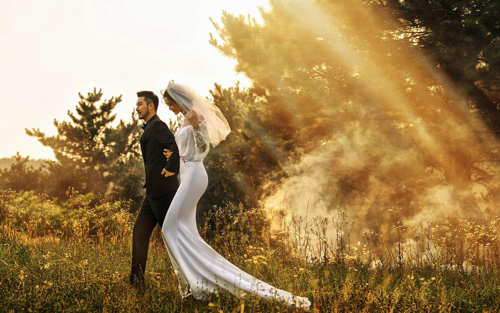 【枫禾映画】枫禾映画2018超高性价比套餐