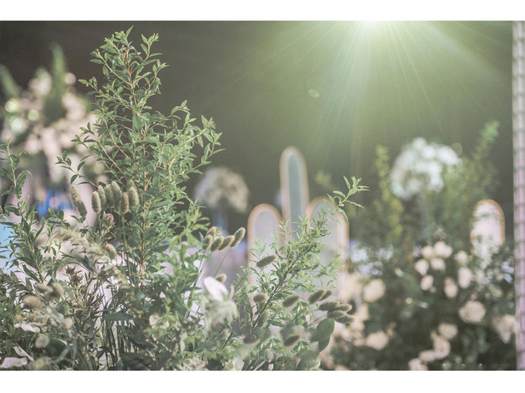 吾将费尽浑身解数，助小主大婚之日C位出道《蓝晶》